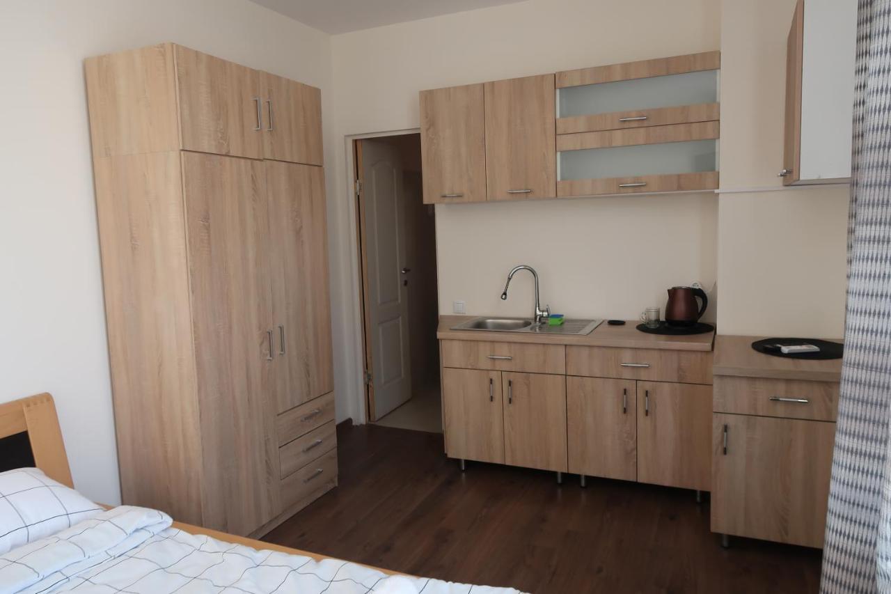 Downtown Studio III Apartment Târgu-Mureş Екстериор снимка